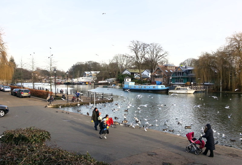 The view downstream from in front of the former toilet block, February 2013.