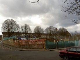 The line of trees, 5 Mar 05