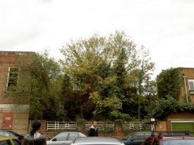 Gap beside HANDS, 30 Oct 04