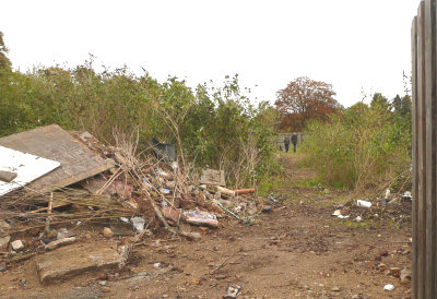 Poolsite on 26 Oct 2010