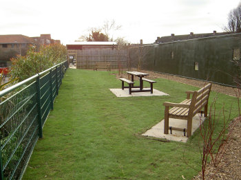 The secret garden looking towards Café Sunshine