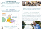 River Centre Brief: click to download