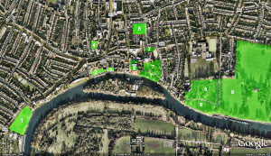 Green space in Twickenham