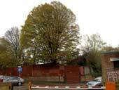 Corner of service road & Wharf Lane 30/10/04