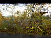 Through the fence along the back service road, 19/11/04.