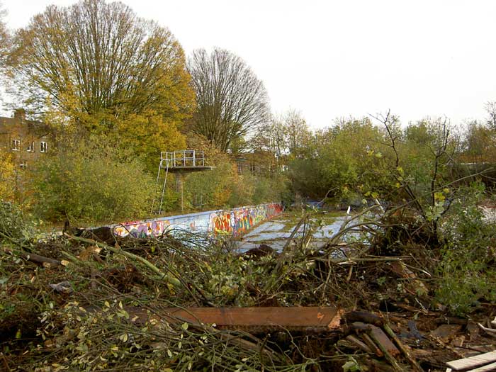 The old diving board