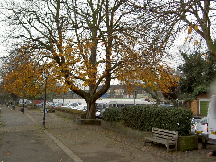The demolished pool site and Embankment, 4/12/04. Photo by Yvonne Hewett.