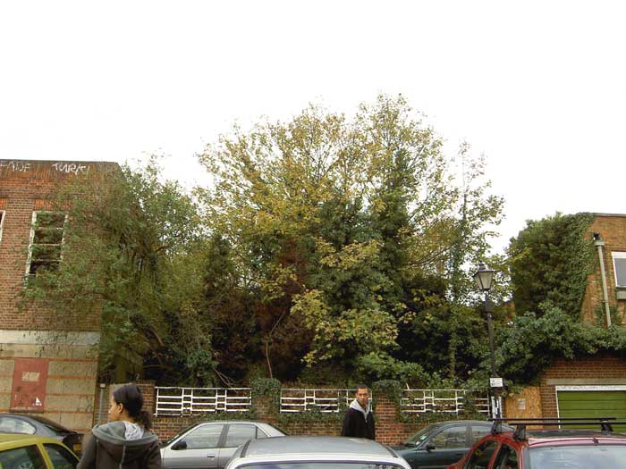 The gap at the downstream end of the building